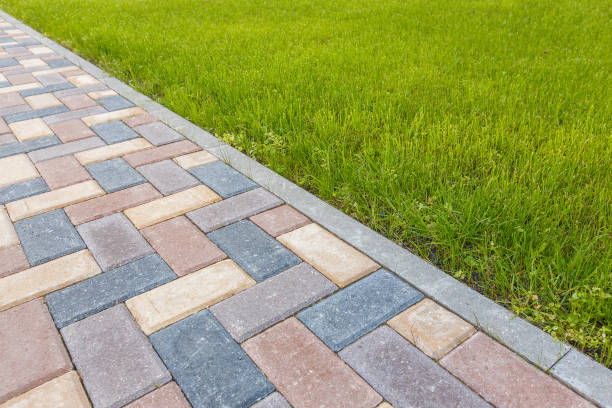 Best Driveway Paving Contractor  in North Hartsville, SC